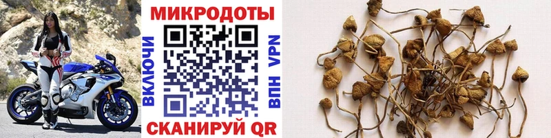 Галлюциногенные грибы GOLDEN TEACHER  где найти   Зеленодольск 